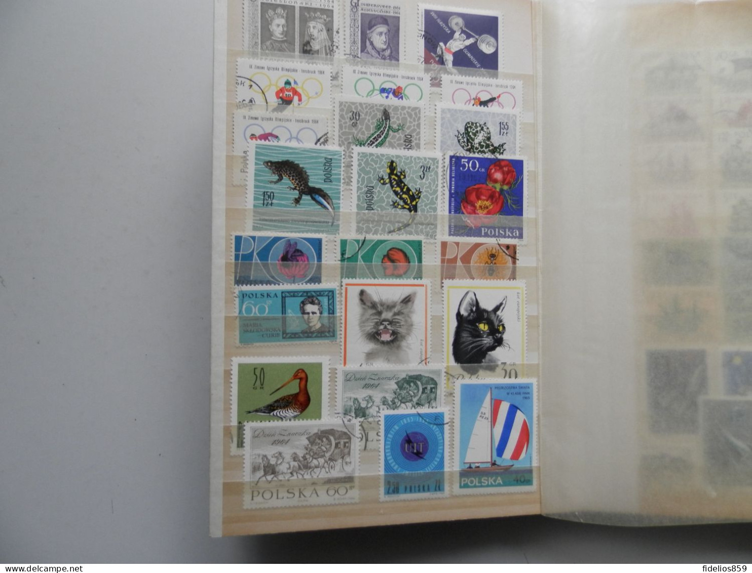 POLOGNE : COLLECTION DE 800 DIFFERENTS TOUTES PERIODES TTB EN CLASSEUR LEUCHTTURM VOIR LES PHOTOS