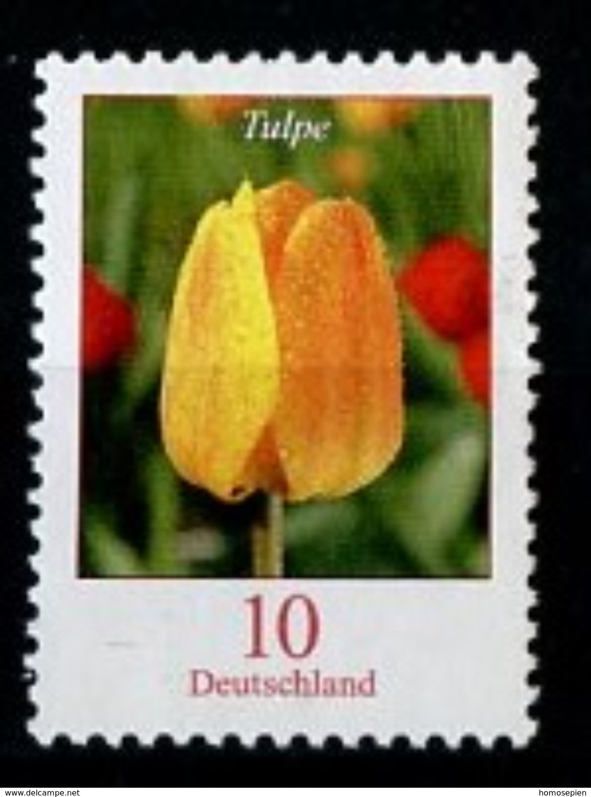 Allemagne Fédérale - Germany - Deutschland 2005 Y&T N°2309 - Michel N°2484 Nsg - 10c Tulipe - Gommé - Ungebraucht