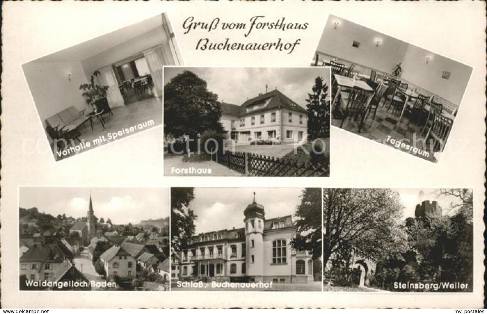 41591201 Waldangelloch Forsthaus Buchenauerhof Schloss Steinsberg Weiler Sinshei - Sinsheim