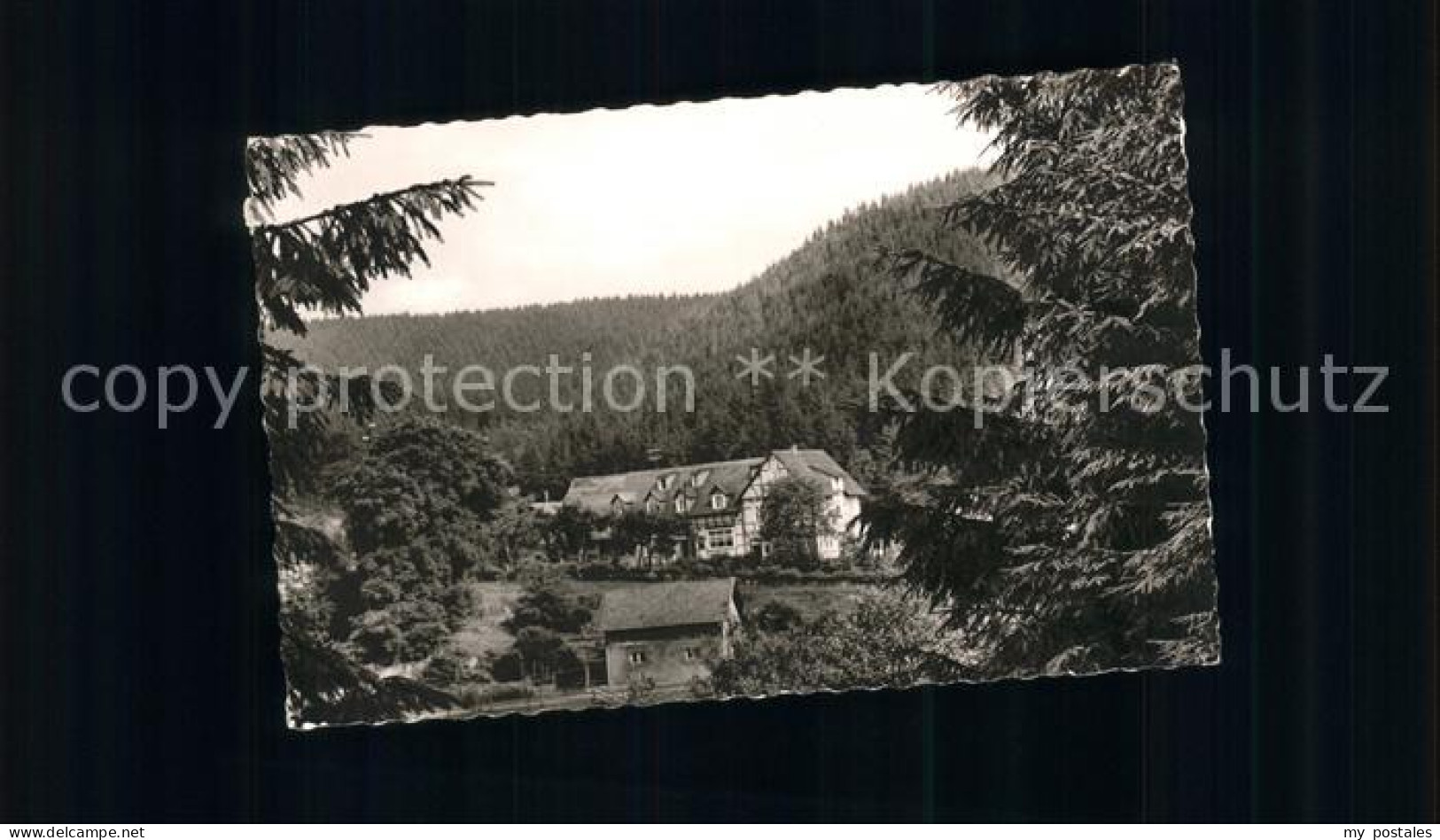 41590170 Eschental Brilon Gasthaus Pension Waldfrieden Eschental Brilon - Brilon