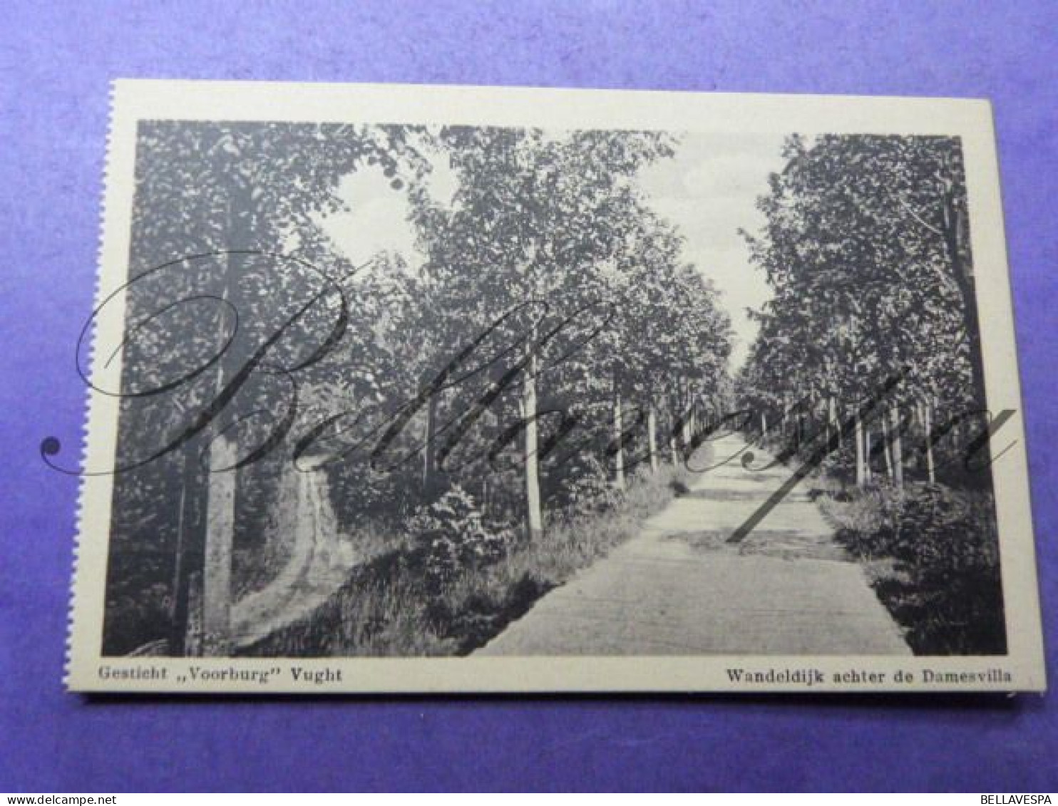 Vught Geneeskundig Gesticht  " Voorburg"  N° 210/5 Wandeldijk Achter De Dames Villa - Vught