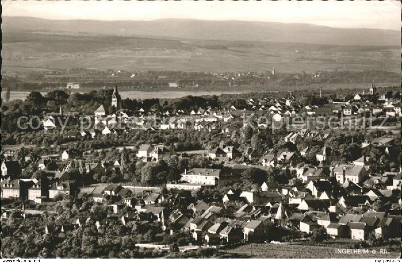 41588133 Ingelheim Rhein Panorama Ingelheim Am Rhein - Ingelheim