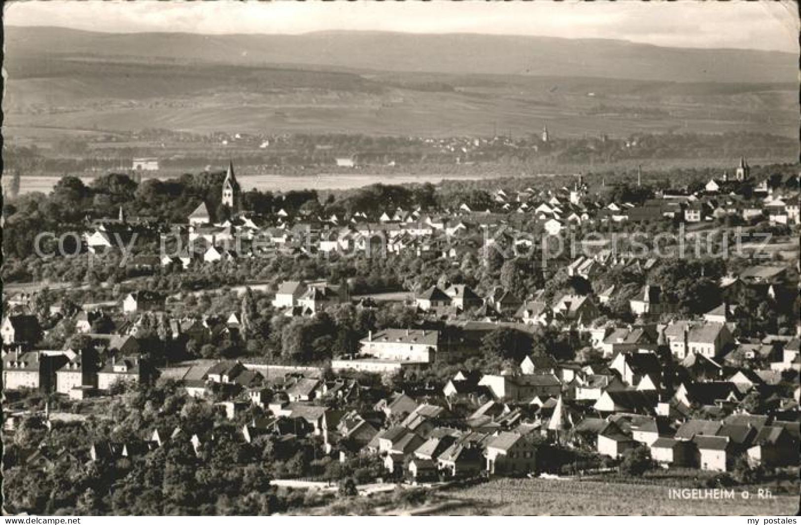 41588132 Ingelheim Rhein Panorama Ingelheim Am Rhein - Ingelheim