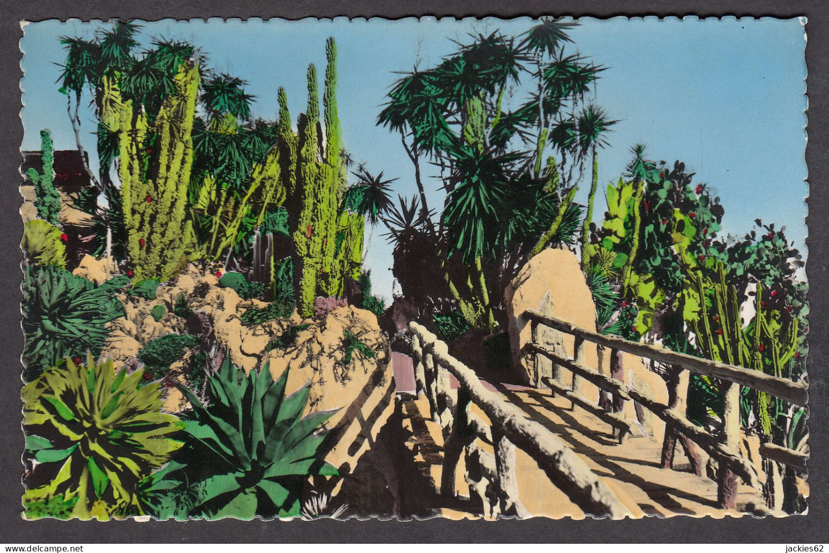 112786/ MONACO, Le Jardin Exotique, Agaves, Cereus, Yuccas Et Divers - Exotic Garden