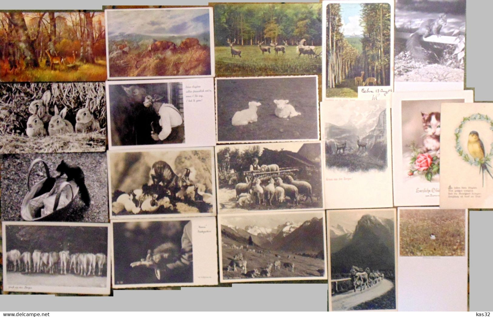 GERMANY, Early Old Postcards, Animals Deer Cows Hares Squirrels - Lot 19 - Collections & Lots