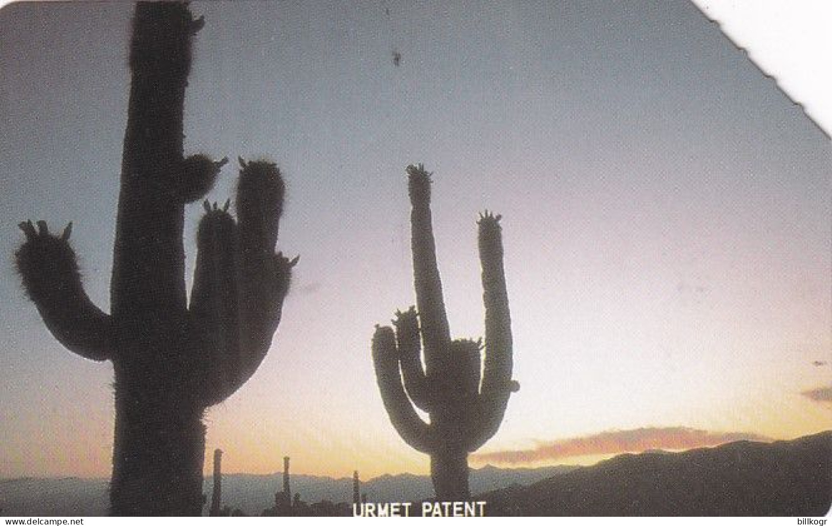 ARGENTINA(Urmet) - Two Cactus At Sunset, Jujuy, Used - Argentine