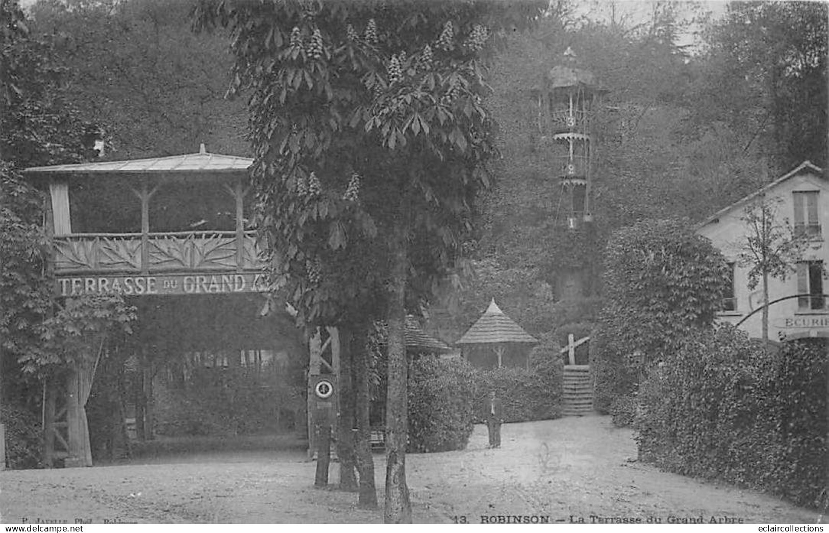 Le Plessis Robinson        92      La Terrasse Du Grand Arbre      N° 13    (voir Scan) - Le Plessis Robinson