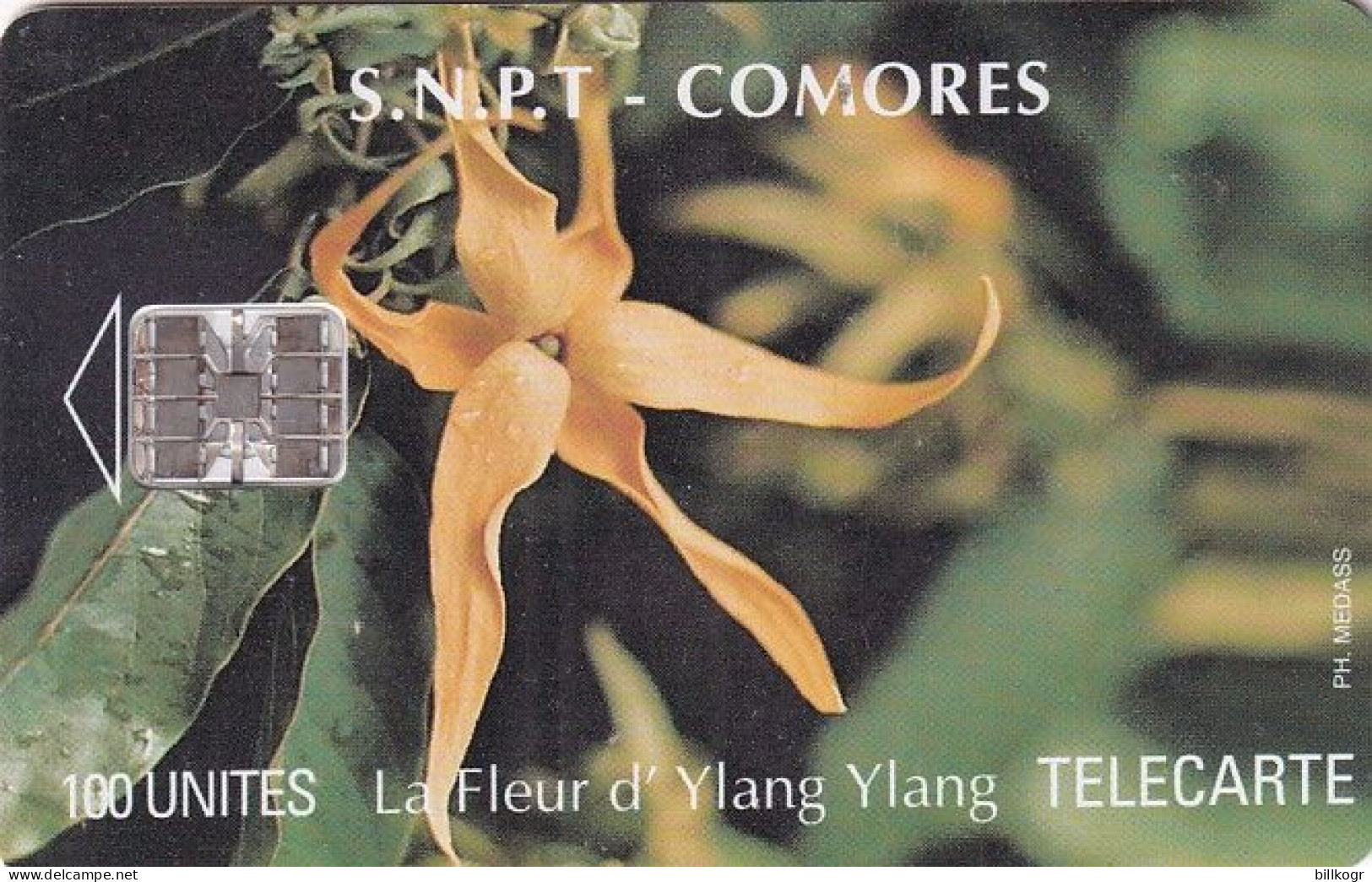 COMOROS ISLANDS - Ylang Ylang Flower, Tirage 20000, Used - Comoren