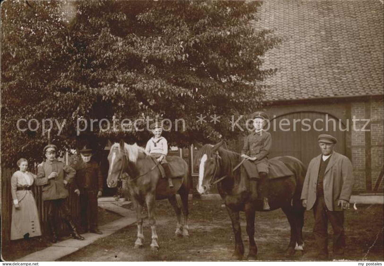 41585575 Oldenburg Holstein Reiterhof Pferde Gruppenfoto Oldenburg In Holstein - Oldenburg (Holstein)