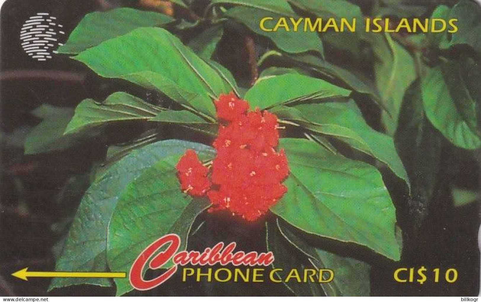 CAYMAN ISL.(GPT) - Broadleaf Flower, CN : 94CCIB, Used - Kaaimaneilanden