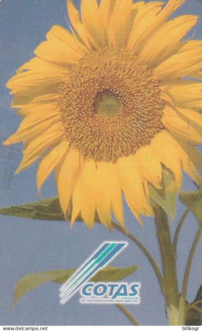 BOLIVIA - Sunflower, 04/99, Used - Bolivien