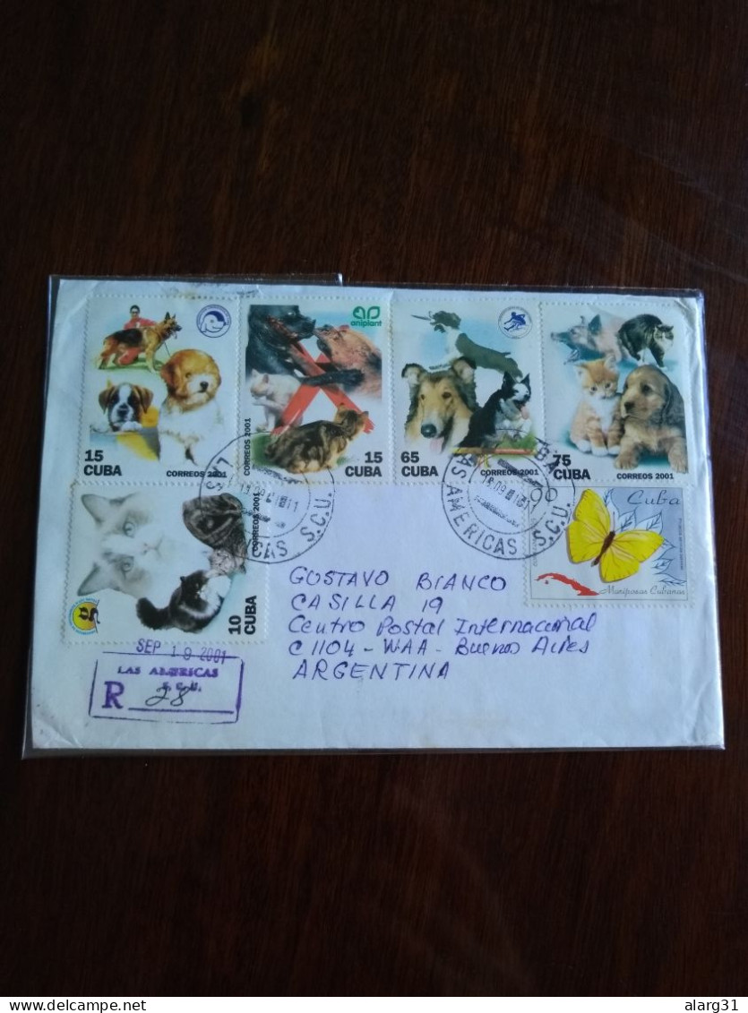 Cat&dogs Reg Letter Cuba/argentina.2001.yv 3927/31 &bfly Phoebis 3448.e8 Reg Post Conmems E 12.5 Cval - Lettres & Documents