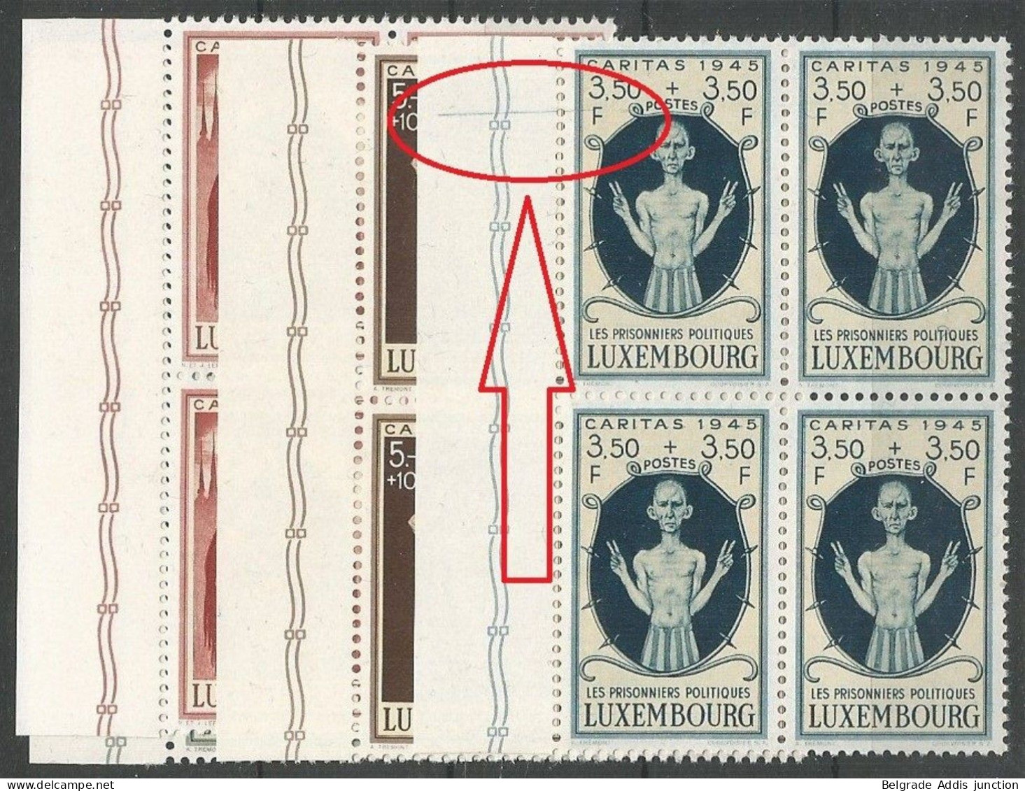 Luxembourg Luxemburg Mi.395/98 En Blocs De 4, Mi.397 Avec Variété Constante Plattenfehler MNH / ** 1945 Caritas - Errors & Oddities