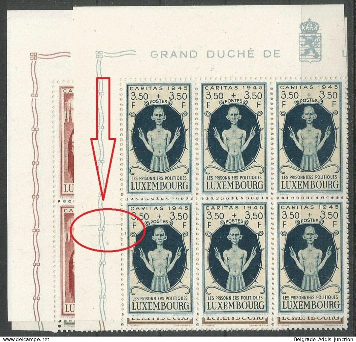 Luxembourg Luxemburg Mi.395/98 En Blocs De 6, Mi.397 Avec Variété Constante Plattenfehler MNH / ** 1945 Caritas - Variedades & Curiosidades