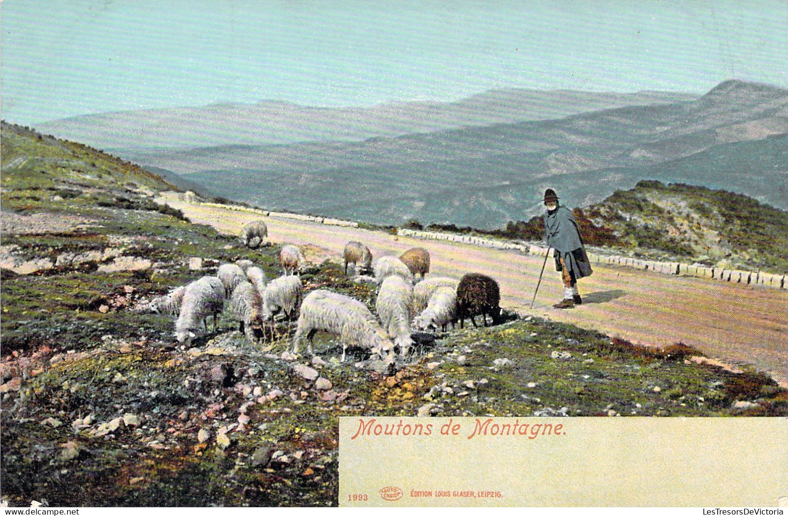 FRANCE - Moutons De Montagne - Berger - Colorisé - Carte Postale Ancienne - Autres & Non Classés