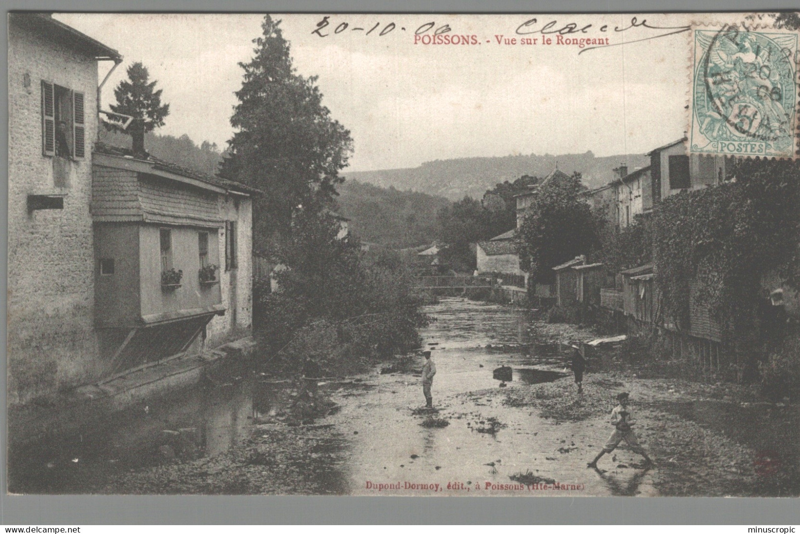 CPA 52 - Poissons - Vue Sur Le Rongeant - Poissons