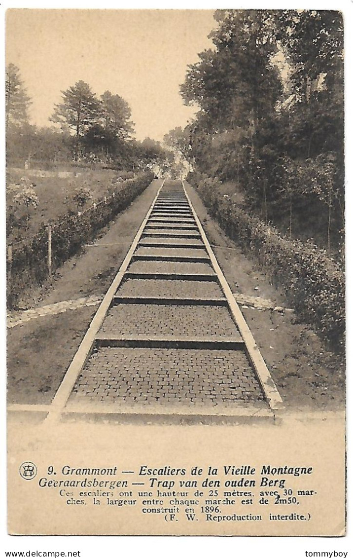 CPA Geraardsbergen, Trap Van Den Ouden Berg - Geraardsbergen