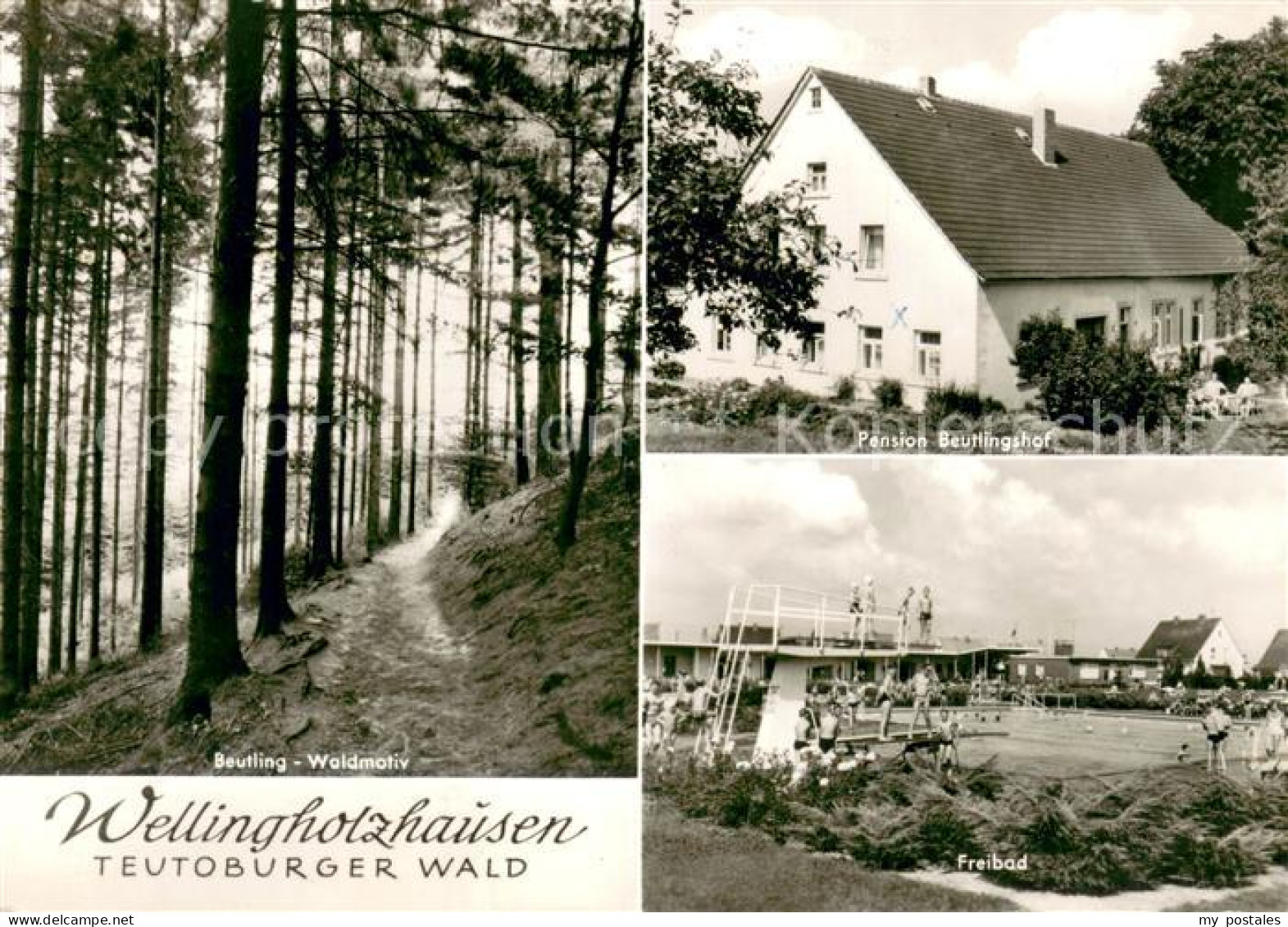 73710263 Wellingholzhausen Freibad Pension Beutlingshof Waldmotiv Wellingholzhau - Melle