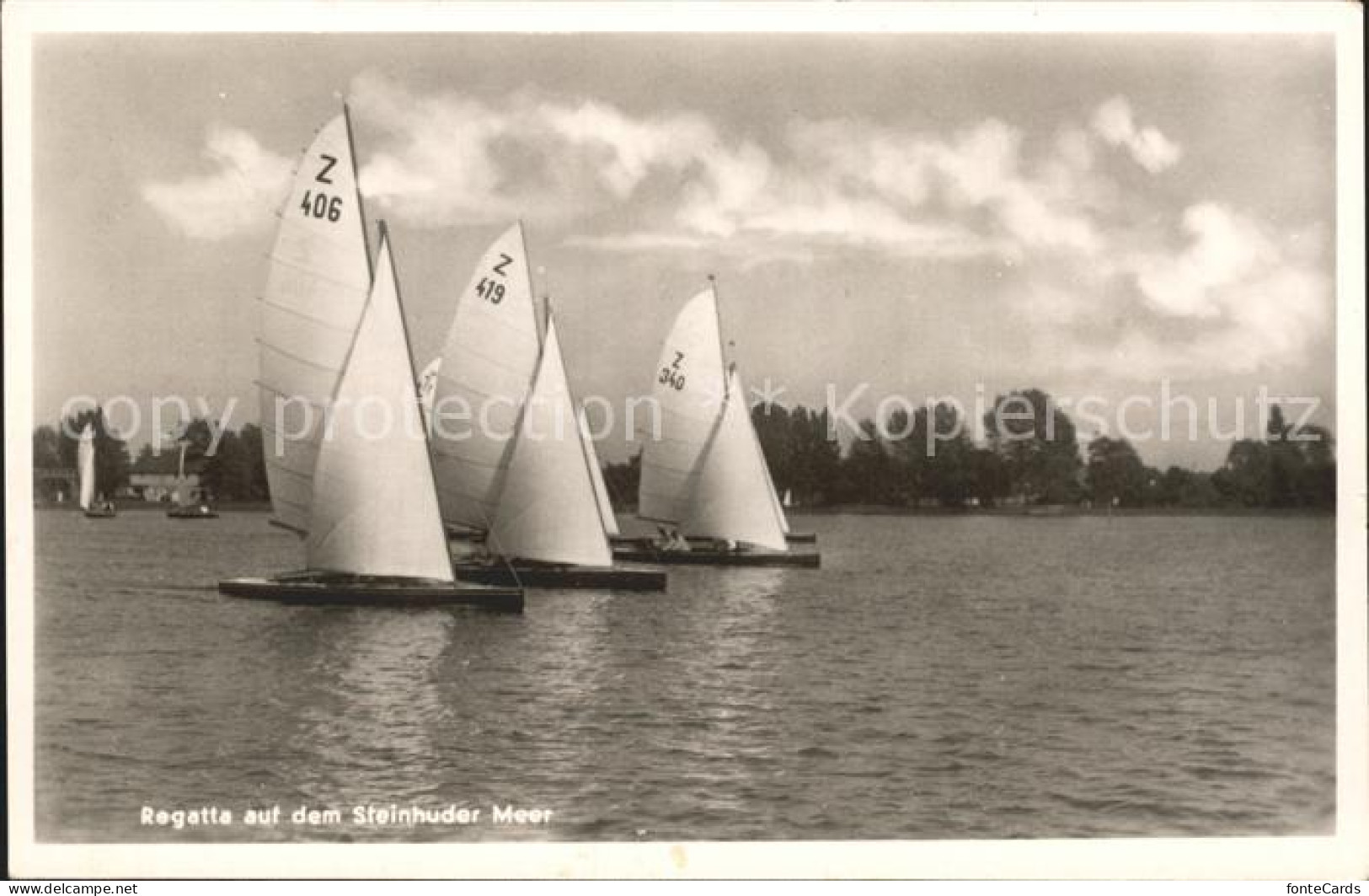 72124431 Segeln Regatta Steinhuder Meer   - Sailing