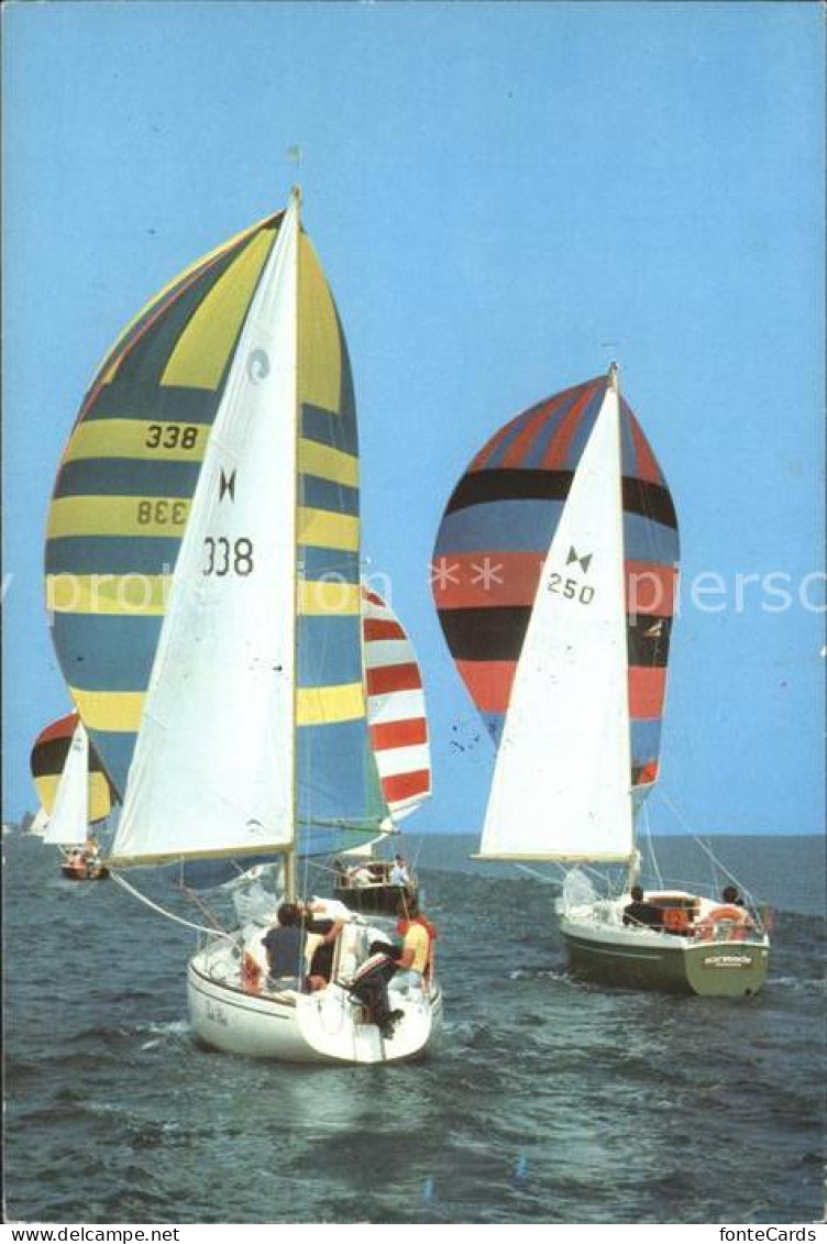 72124229 Segeln Voor De Wind   - Segeln