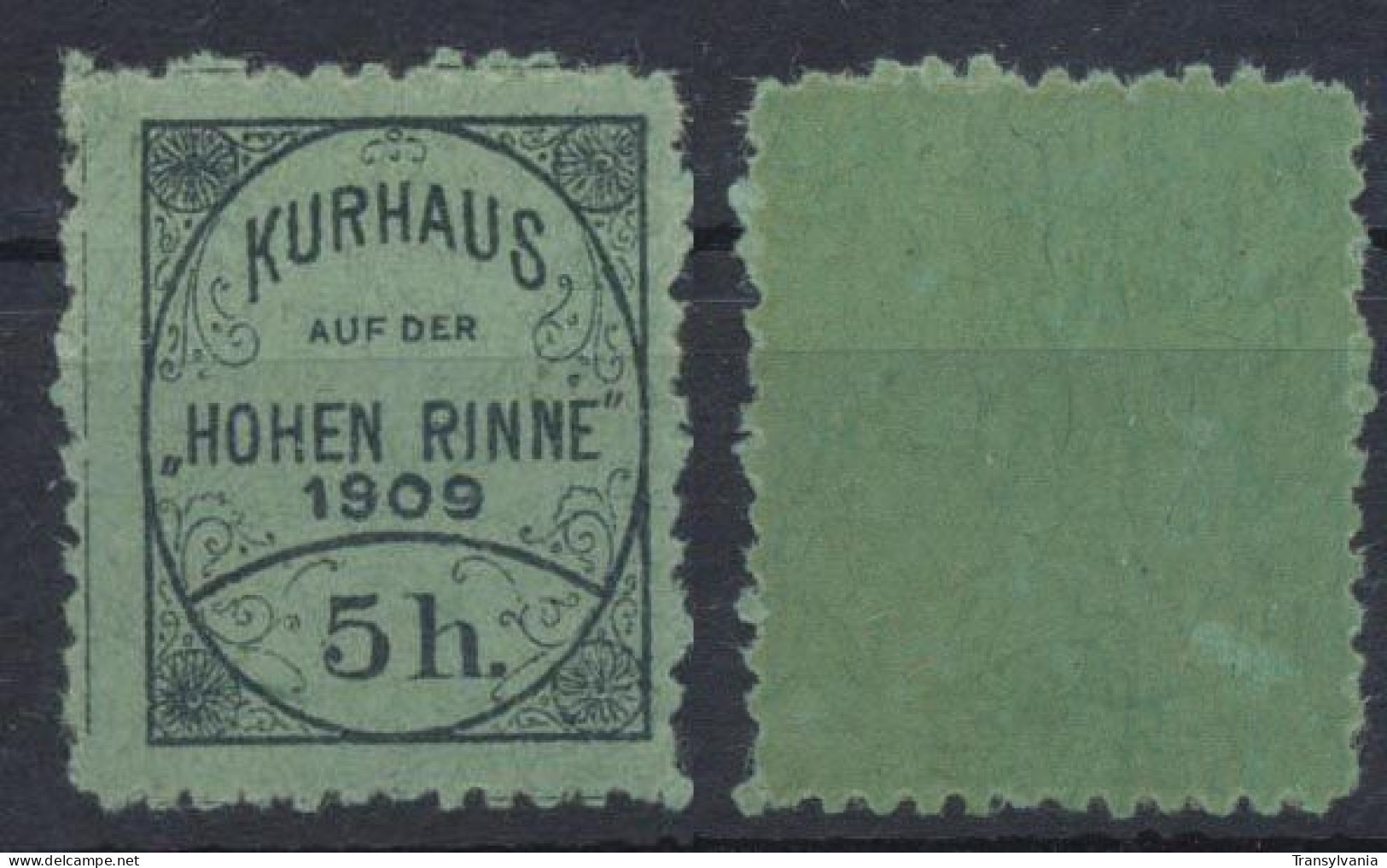 Hungary Now Romania Hohe Rinne 1909 Hotel Post Stamp 5 Heller MNH, Original Gum - Emissions Locales