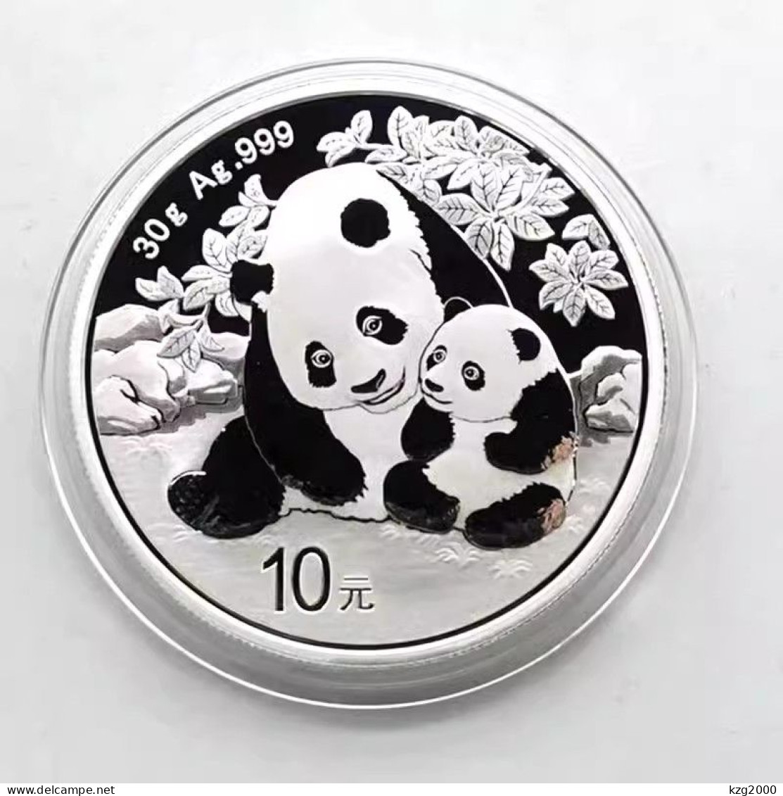 China 2024  Panda Silver Coin 30g  Ag.999  With Box & Certificate 1Pcs Coin RMB 10 Yuan - Chine