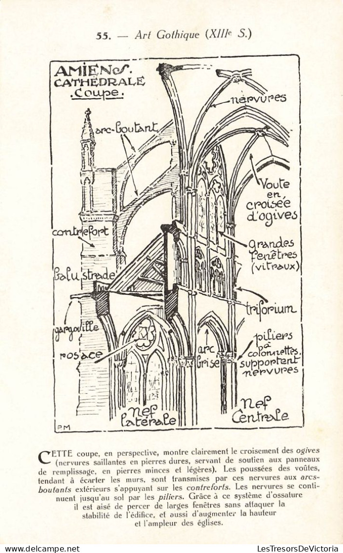 FRANCE - Amien - Art Gothique (XIIIe S) - Amien Cathédrale Coupe - Carte Postale - Amiens