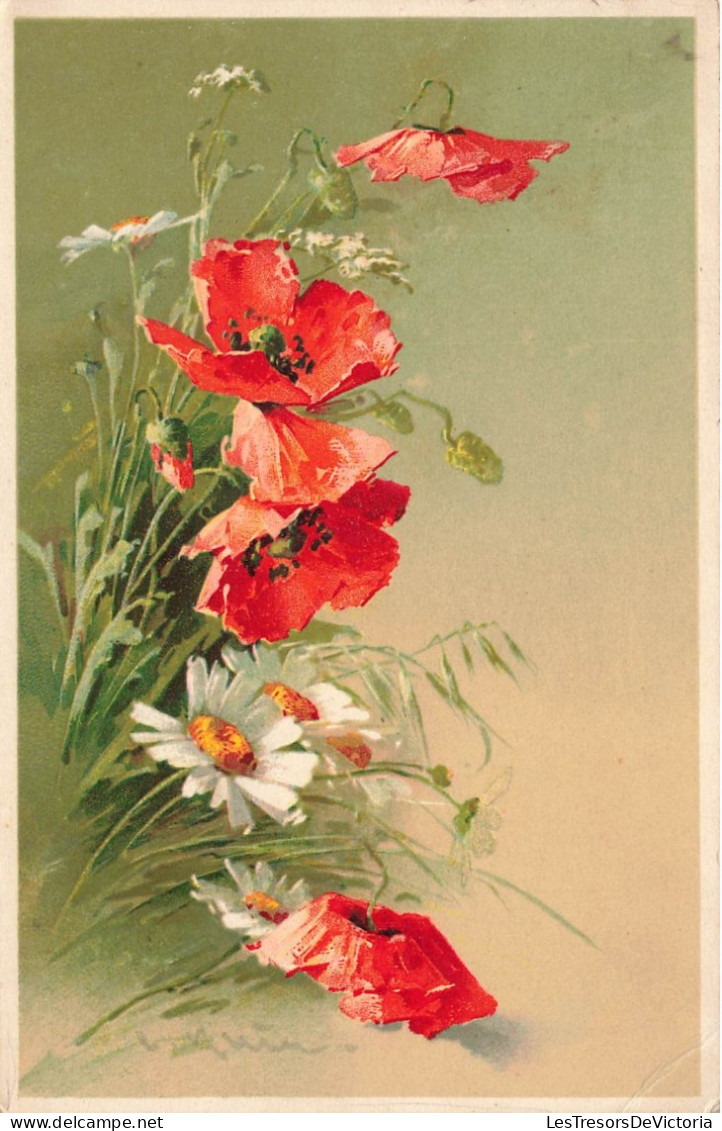 FLEURS PLANTES - Fleurs - Coquelicots - Marguerites - Carte Postale Ancienne - Fleurs