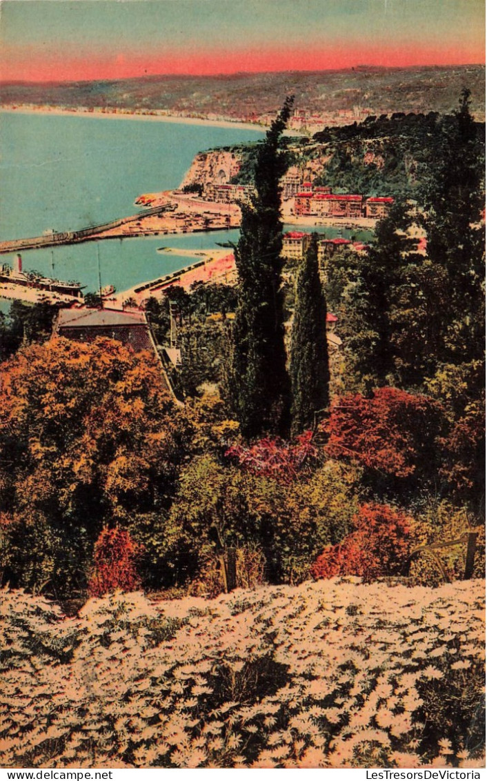 FRANCE - Nice - Vue Générale - Carte Postale - Museos