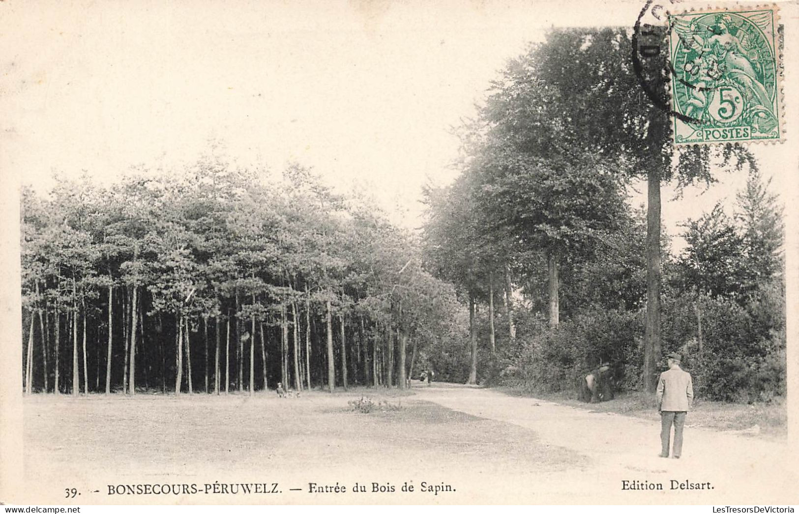 FRANCE - Bonsecours Peruwelz - Entrée Du Bois De Sapin - Carte Postale Ancienne - Bonsecours