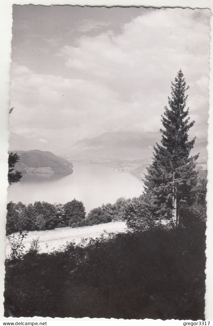 E2257)  MILLSTÄTTERSEE - Kärnten - FOTO AK - Wunderschöner Blick über Straße U. See ALT ! - Millstatt