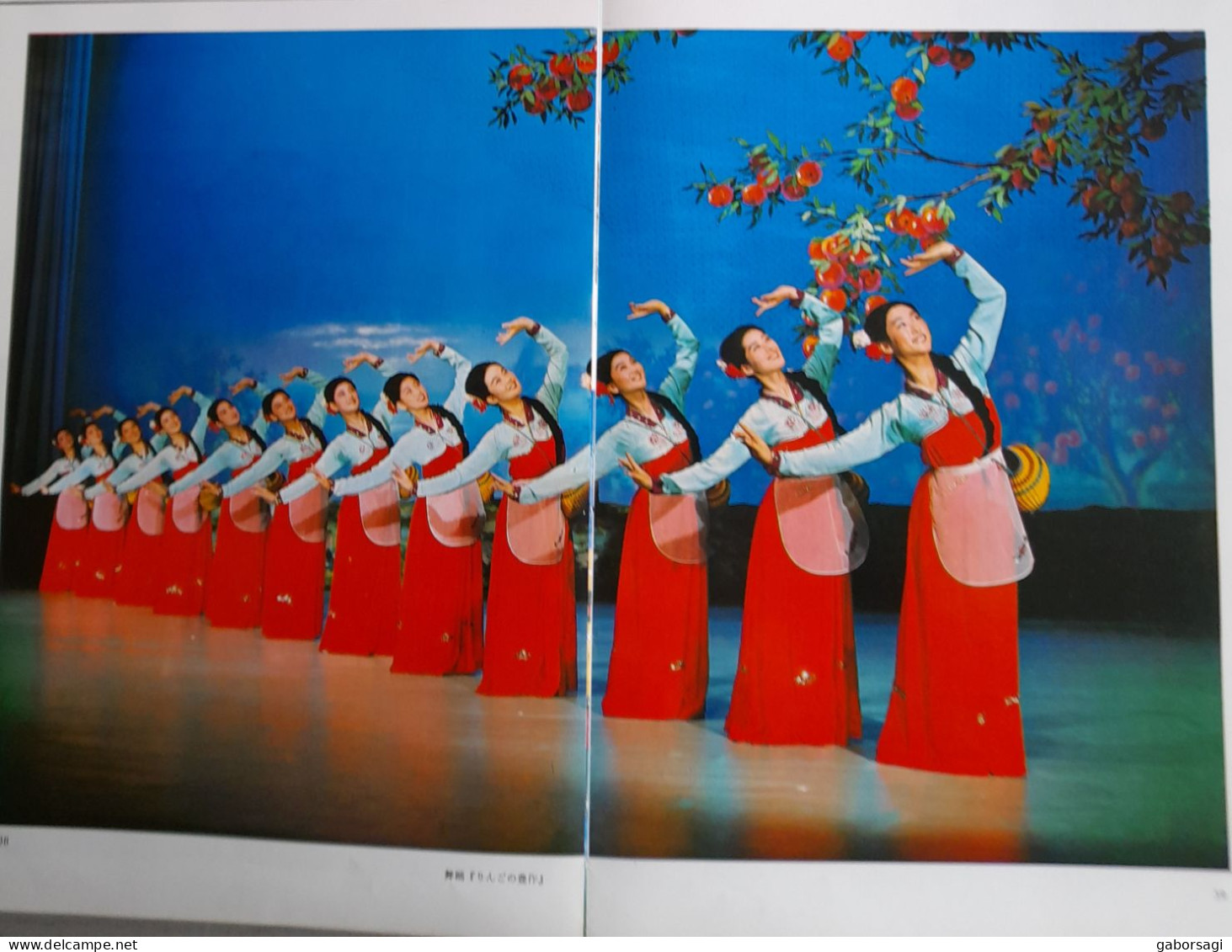 D.P.R.K. Pyongyang Mansudae Art Troupe - Theatre