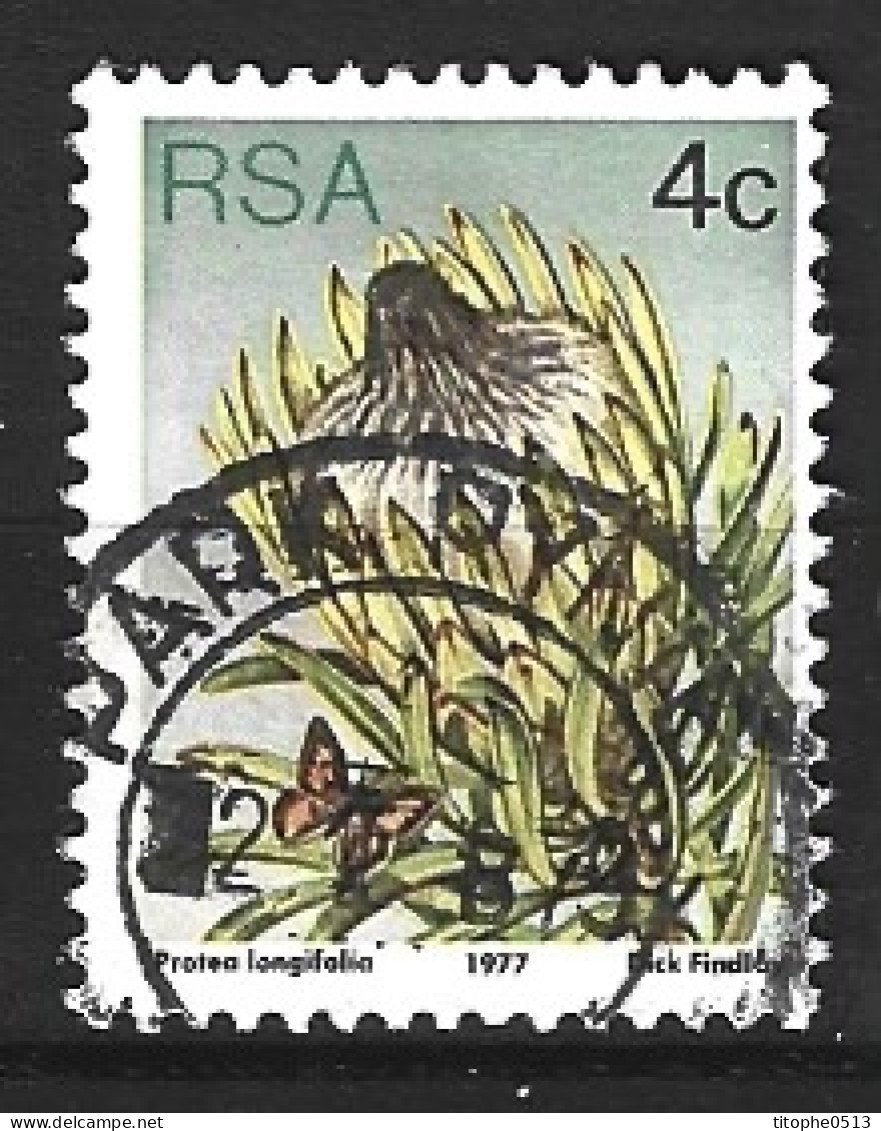 AFRIQUE DU SUD. N°419 Oblitéré De 1977. Plante Grasse. - Sukkulenten