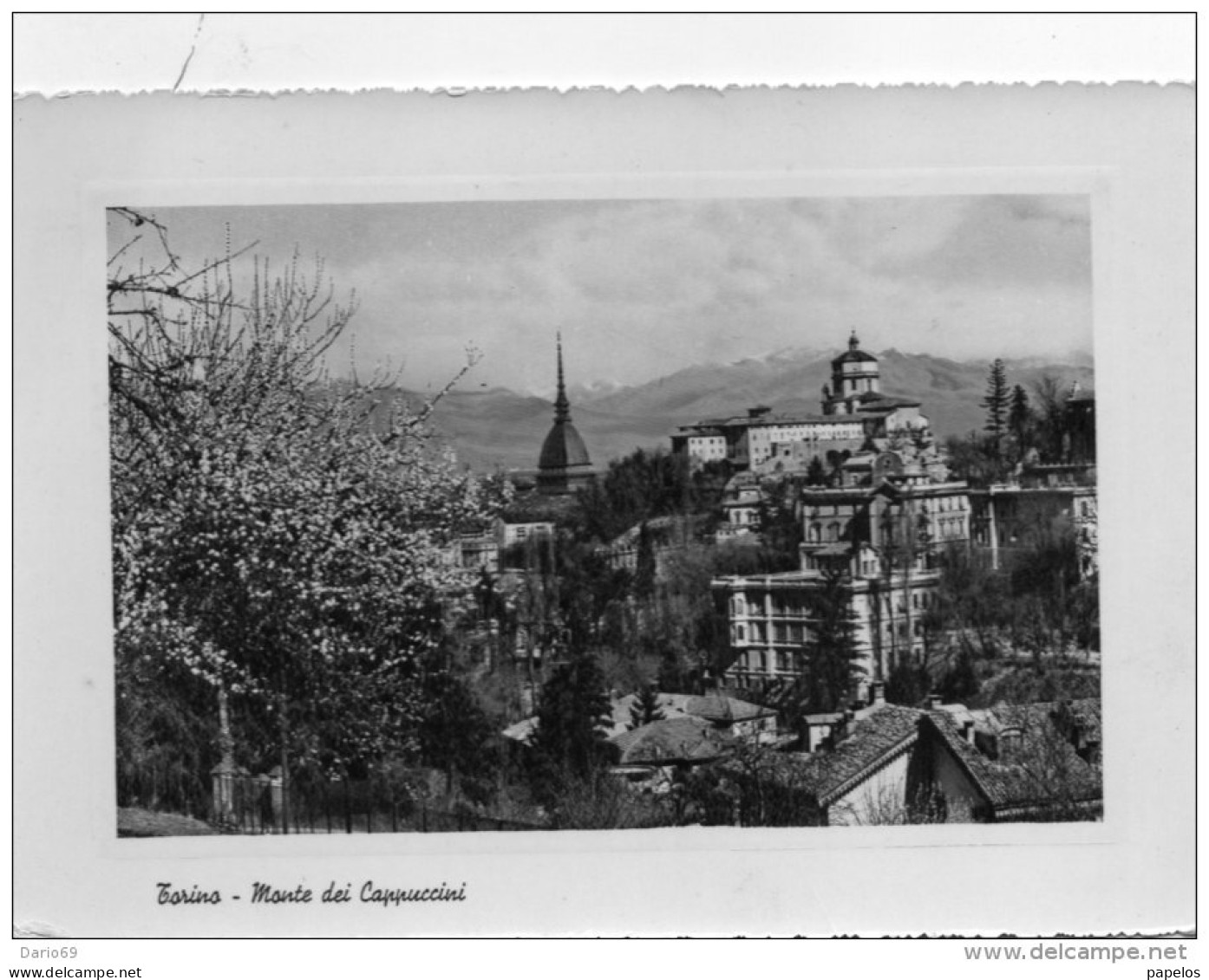 1953  CARTOLINA -  TORINO - Panoramic Views