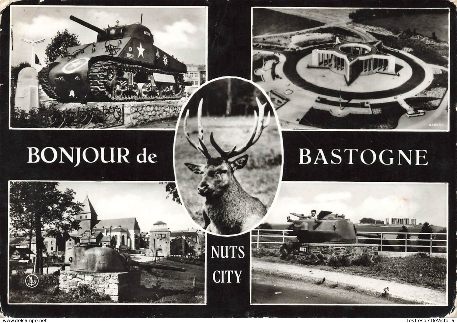 BELGIQUE - Bonjour De Bastogne - Nuts City - Carte Postale - Bastenaken