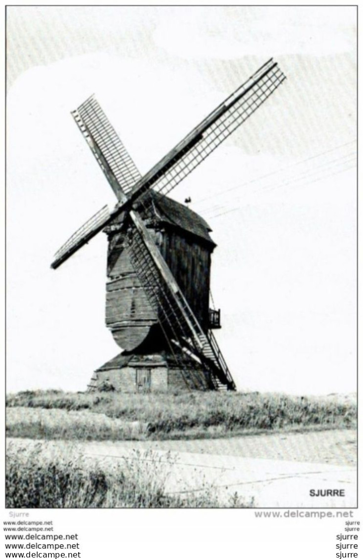 Schaffen / Diest - Windmolen (1826) * - Diest