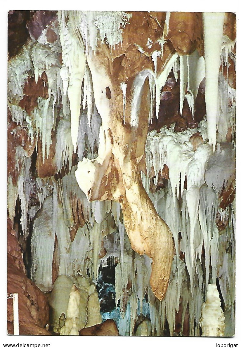 EL AGUILA.- GRUTA DE " EL AGUILA ".- ARENAS DE SAN PEDRO / AVILA.- ( ESPAÑA ). - Ávila