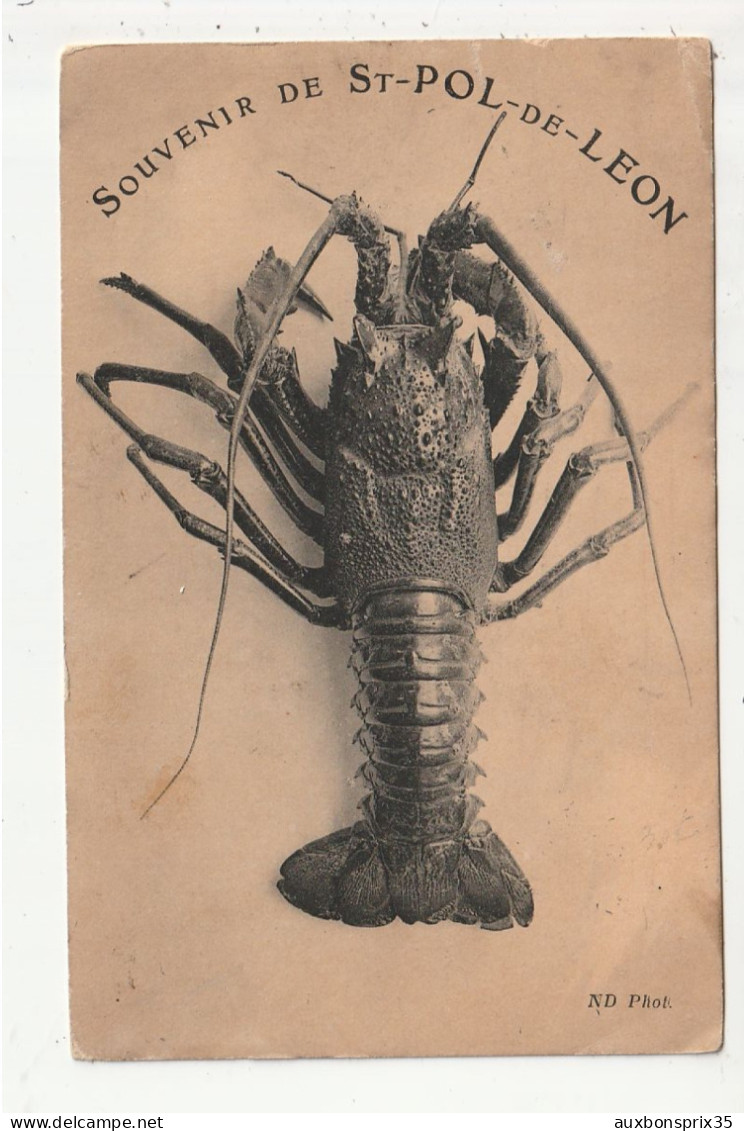 SAINT POL DE LEON - SOUVENIR - HOMARD - 29 - Saint-Pol-de-Léon