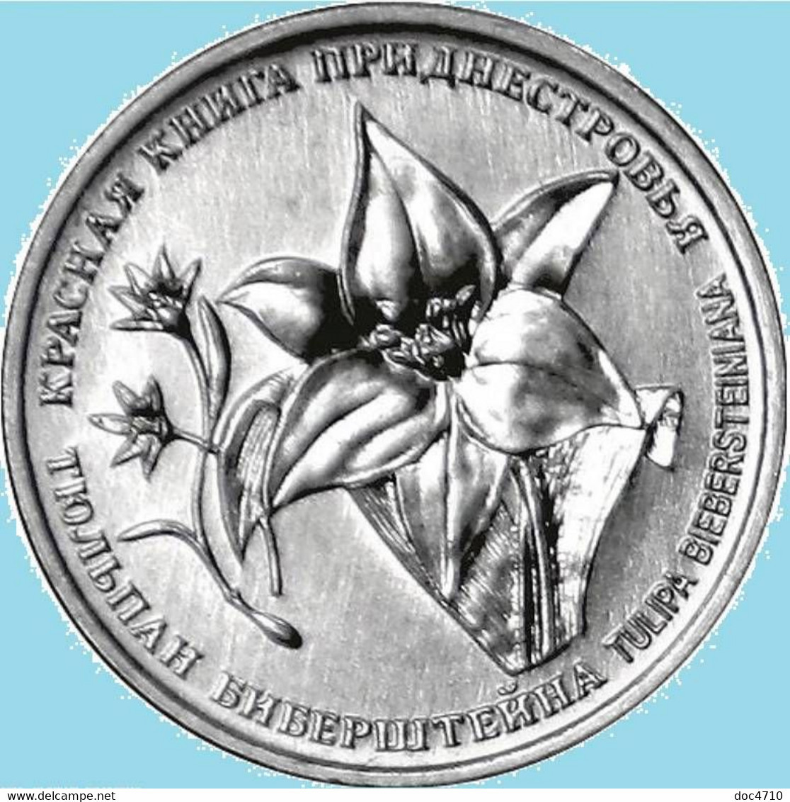 Moldova-Transnistria 1 Ruble 2019, Bieberstein Tulip Plant, KM#New, Unc - Moldavië