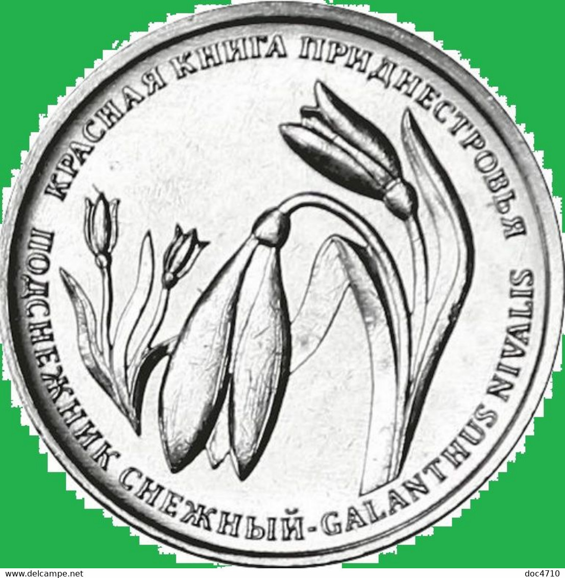 Moldova-Transnistria 1 Ruble 2020, Snowdrop Plant, KM#New, Unc - Moldavie