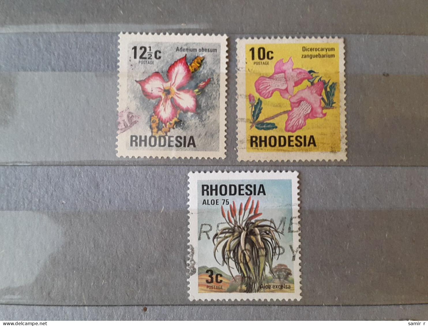 1975	Phodesia Flowers  (F79) - Sonstige - Ozeanien