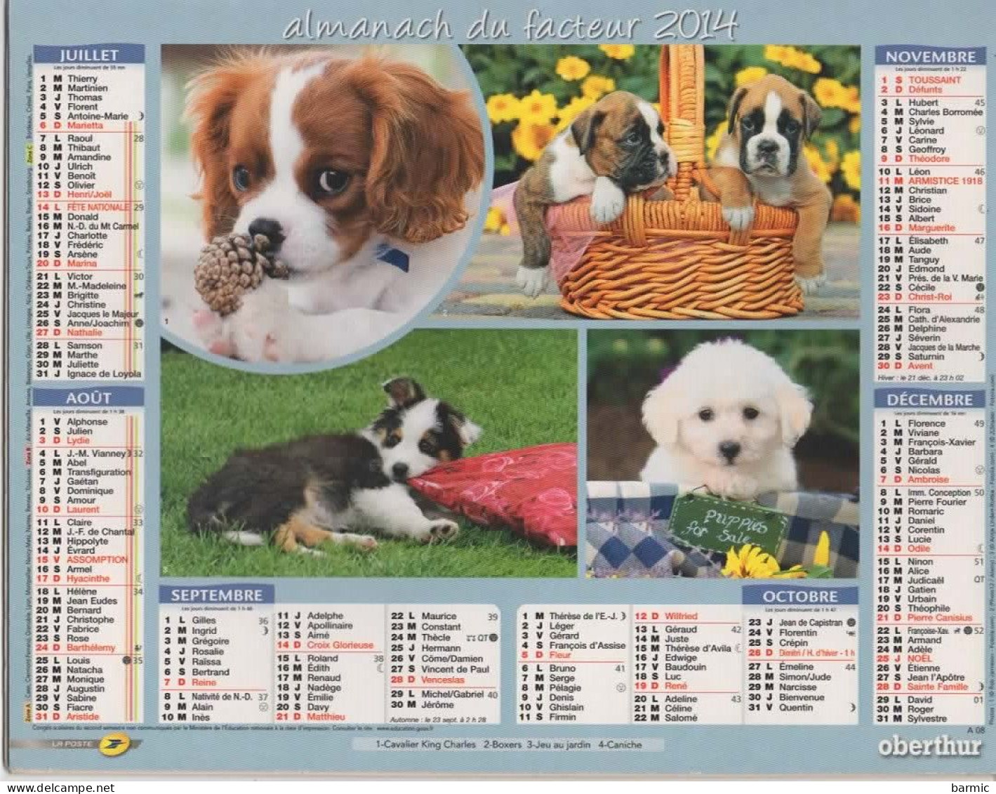 CALENDRIER ANNEE 2014, COMPLET, MULTIVUE, CHIOTS COULEUR REF 13884 - Grand Format : 2001-...