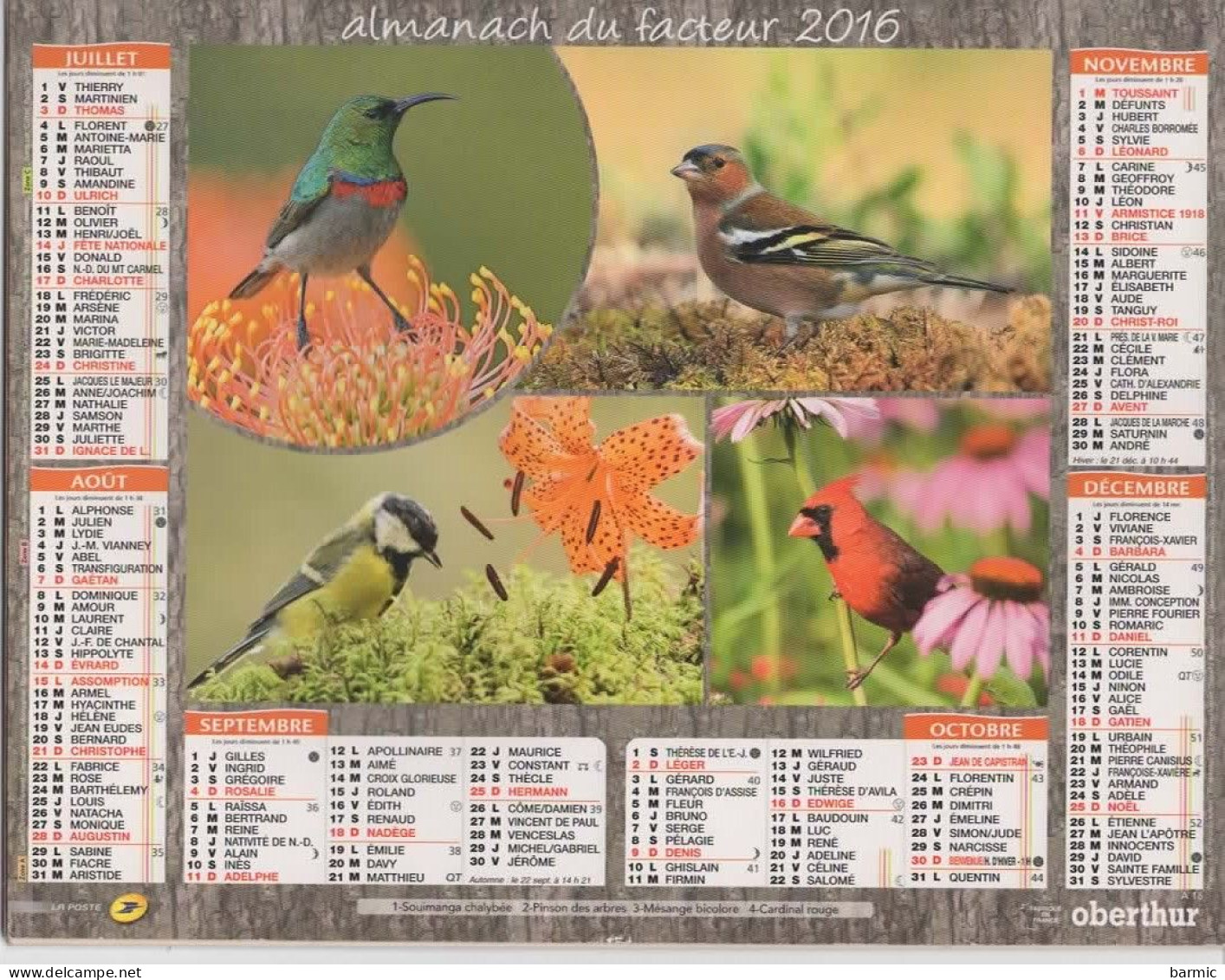 CALENDRIER ANNEE 2016, COMPLET, MULTIVUE, OISEAUX  COULEUR REF 13885 - Big : 2001-...