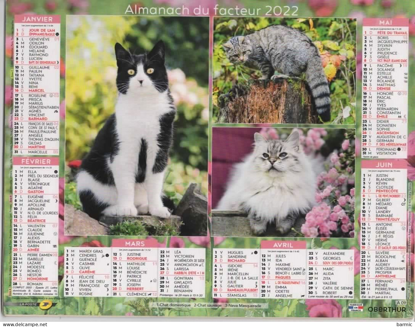 CALENDRIER ANNEE 2022, COMPLET, MULTIVUE, CHATONS COULEUR REF 13887 - Grand Format : 2001-...