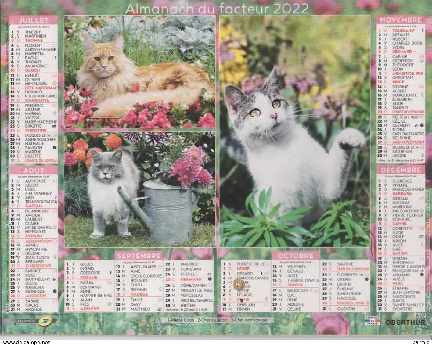 CALENDRIER ANNEE 2022, COMPLET, MULTIVUE, CHATONS COULEUR REF 13887 - Grossformat : 2001-...