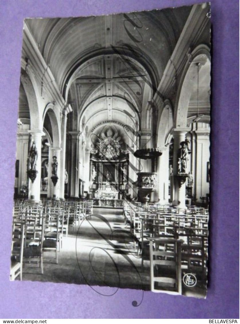 Aartselaar Kerk St Leonardus - Churches & Convents