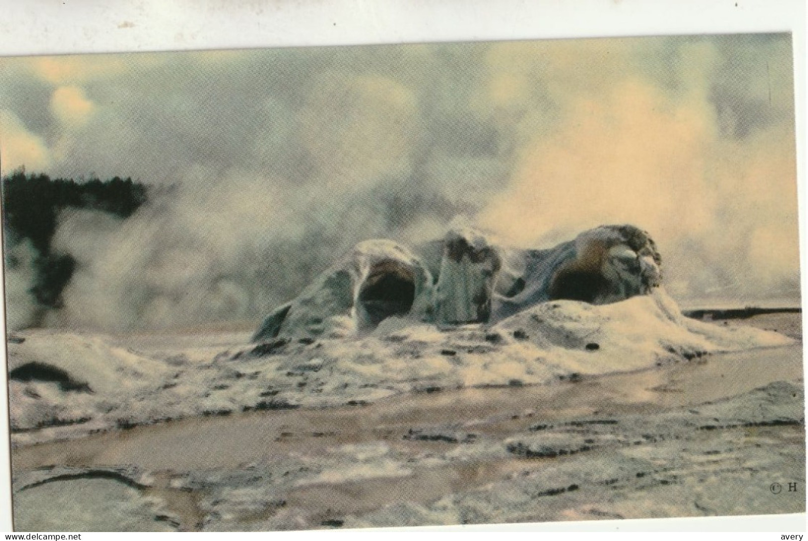 Grotto Geyser Cone, Upper Geyser Basin, Yellowstone, National Park, Wy. Curious Example Of Geyserite Silicone Dioxide - Yellowstone