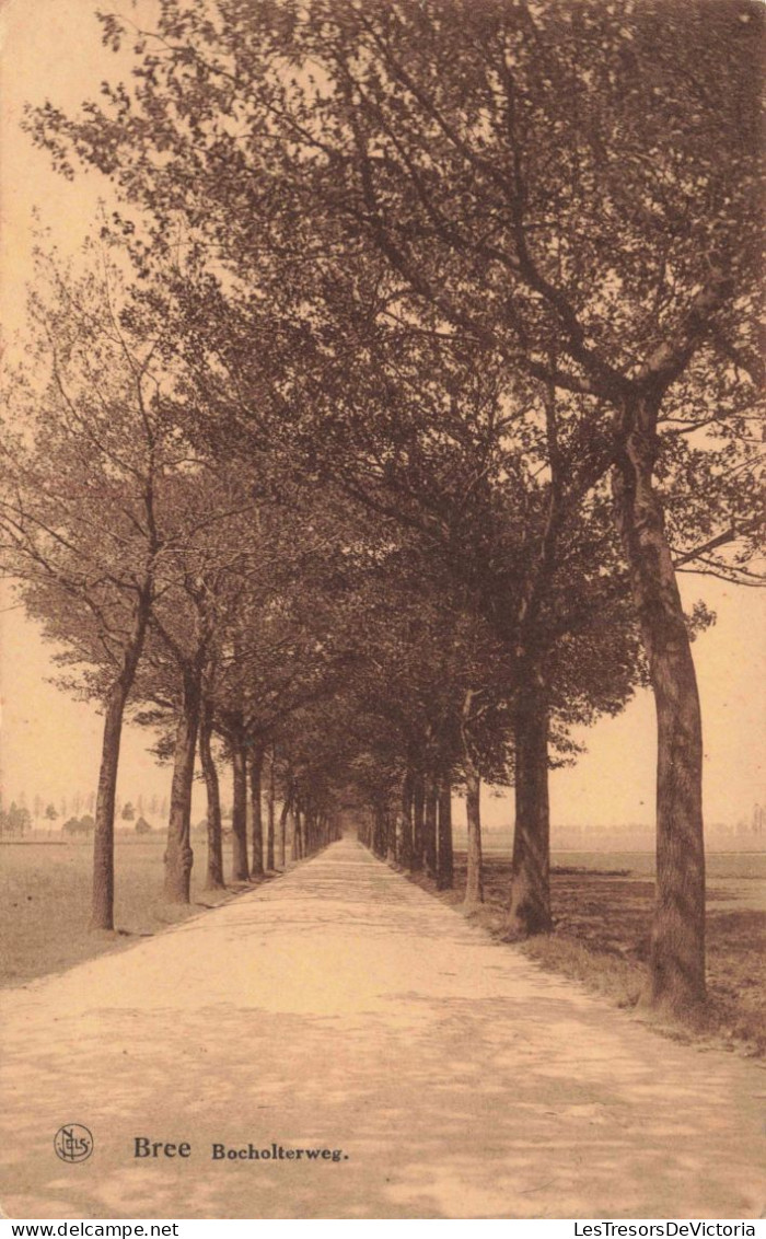 BELGIQUE - Bree - Bocholterweg - Carte Postale Ancienne - Bree