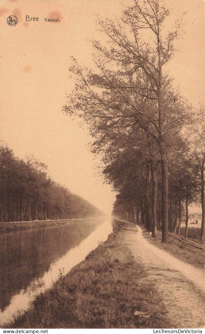 BELGIQUE - Bree - Kanaal - Carte Postale Ancienne - Bree