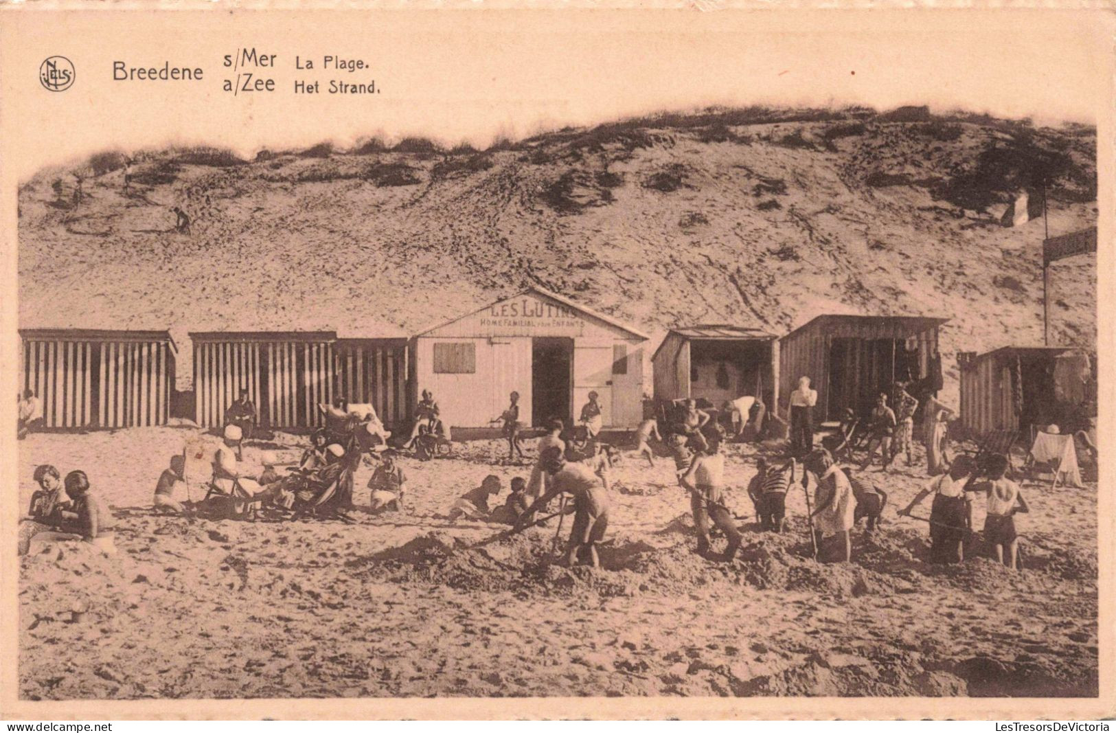 BELGIQUE - Bredene Sur Mer - La Plage - Carte Postale Ancienne - Bredene